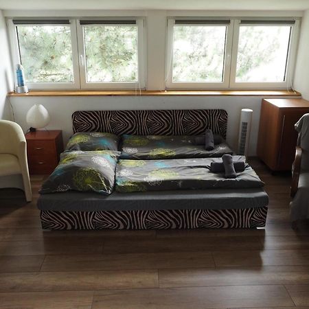 Apartman U Borovice Bila Tremesna Luaran gambar