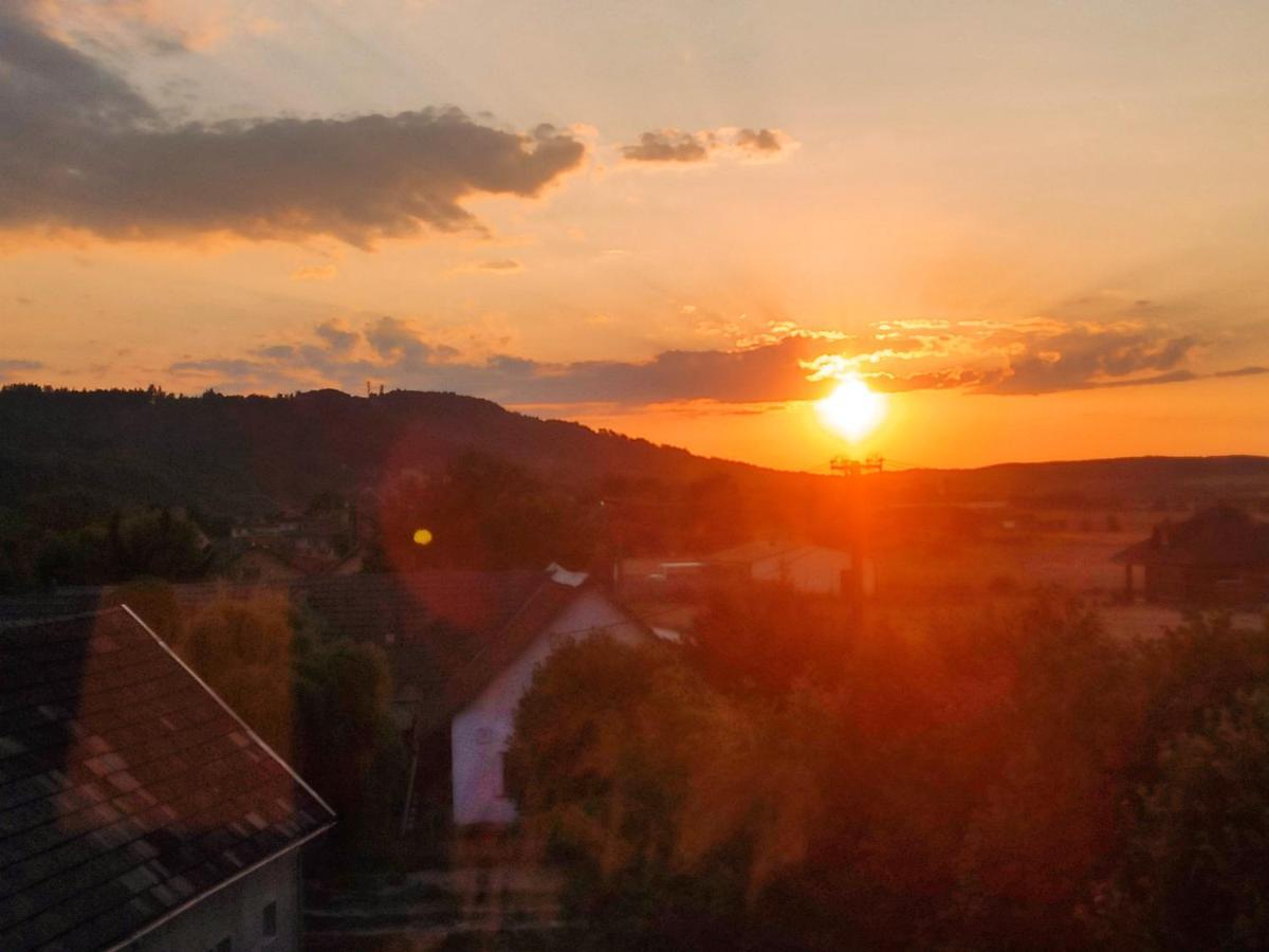 Apartman U Borovice Bila Tremesna Luaran gambar